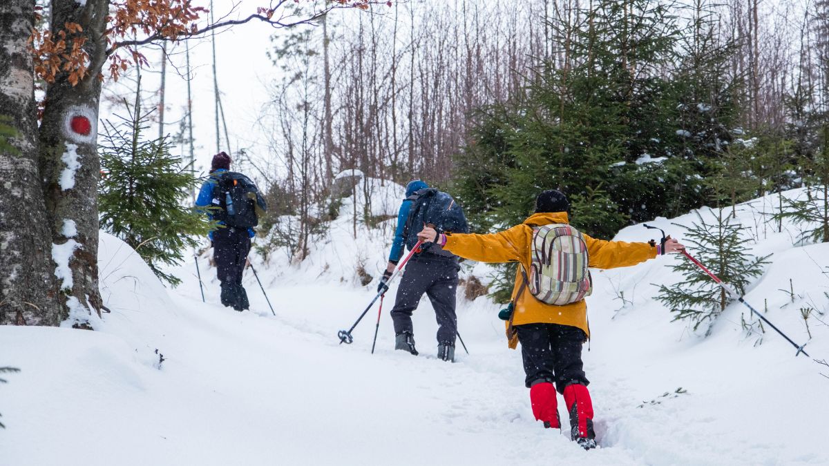 Calories Burned Snowshoeing