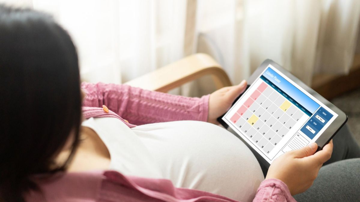 Pregnancy Calculator